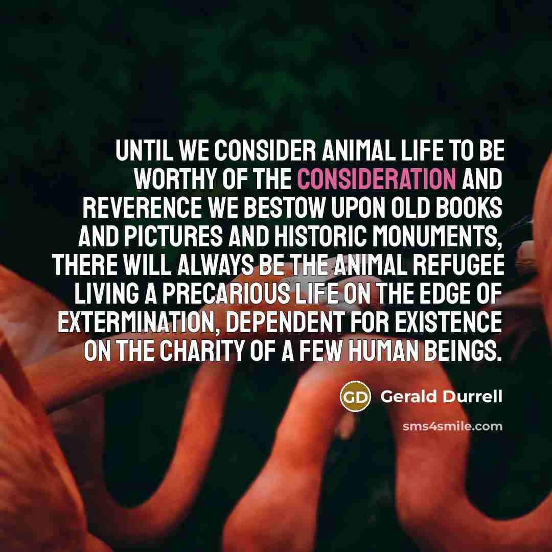 “Until we consider animal life to be worthy of the…” quote by Gerald Durrell