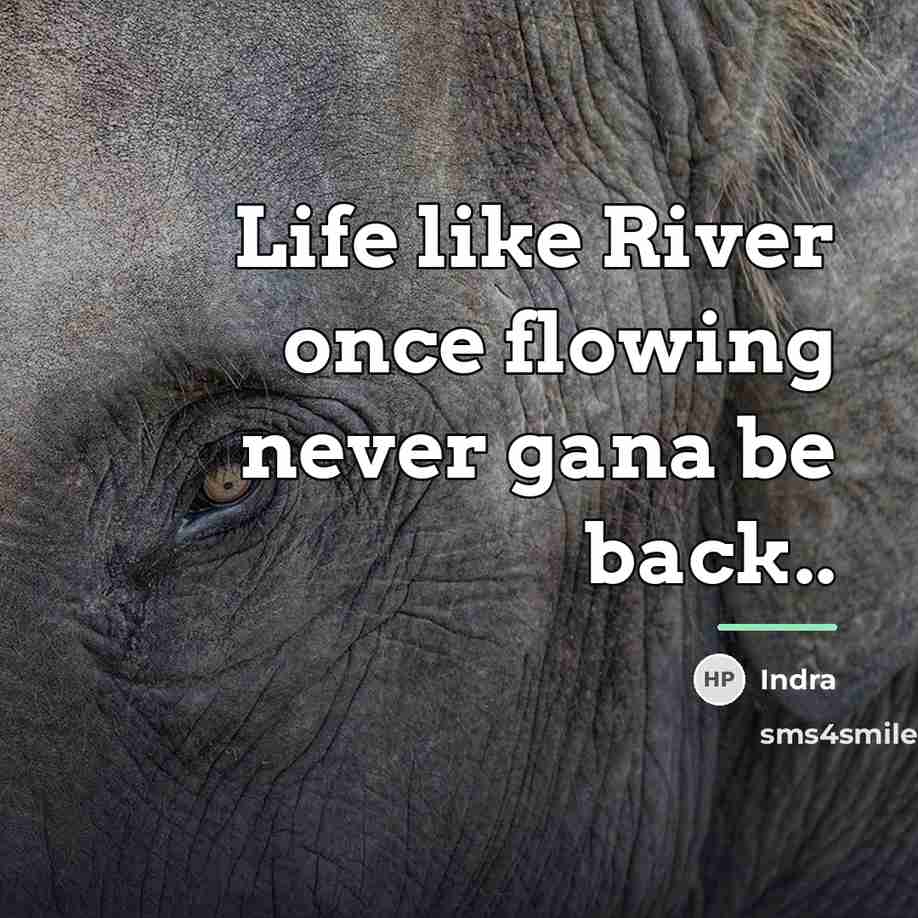 “Life like River once flowing never gana be back..…” quote by Indra