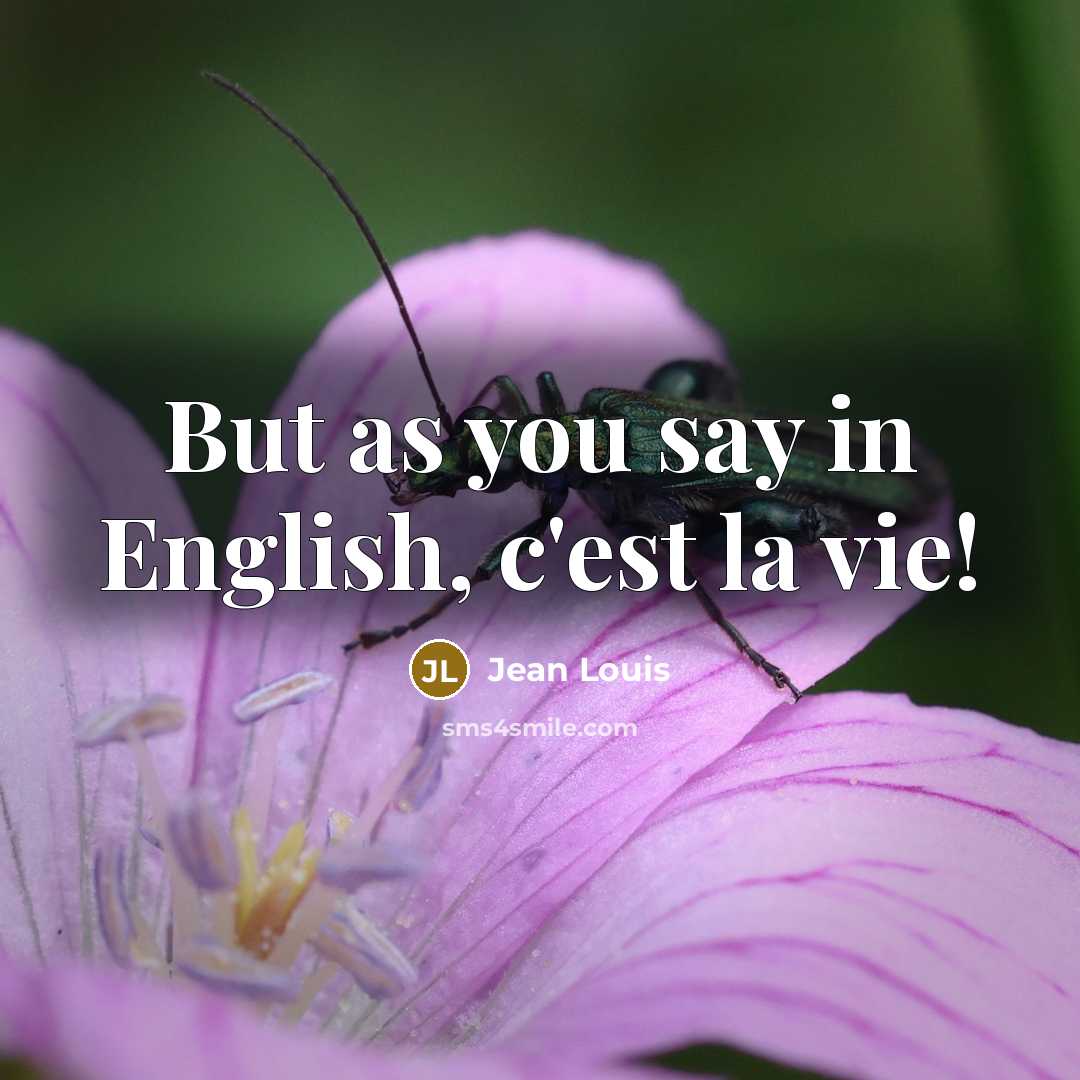 “But as you say in English, c'est la vie!” quote by Jean Louis