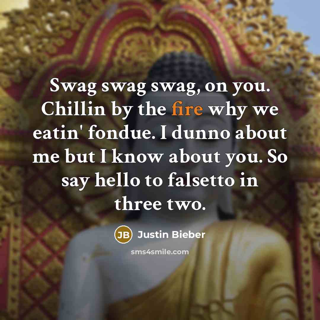 “Swag swag swag, on you. Chillin by the fire why we eatin' fondue. I dunno about me but I know about you. So say hello to falsetto in three two.” quote by Justin Bieber