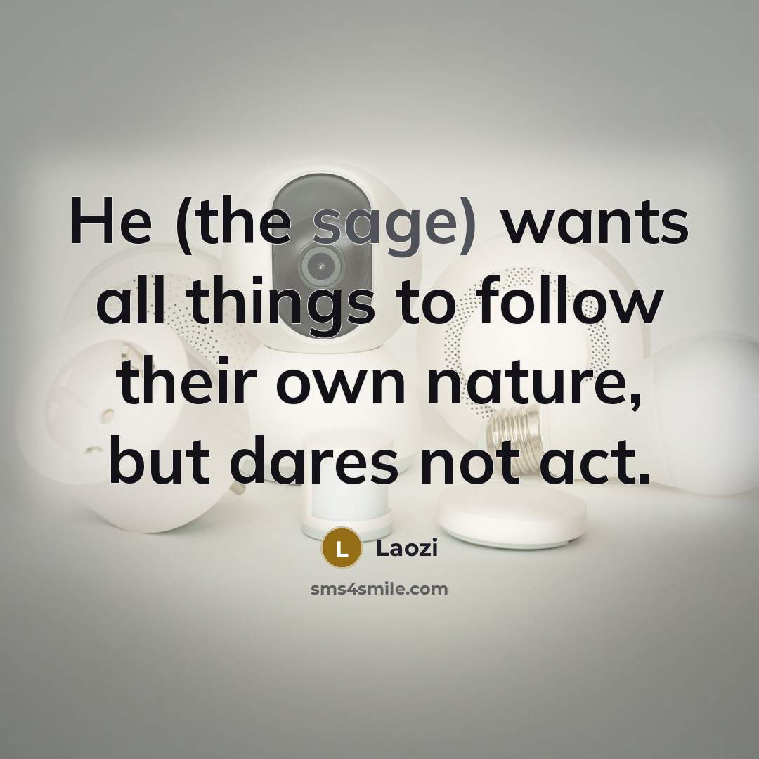 “He (the sage) wants all things to follow their own…” quote by Laozi