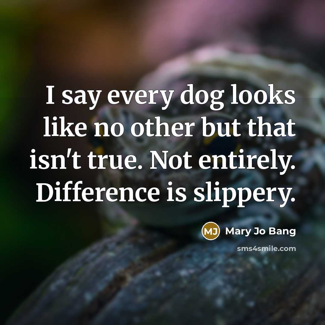 “I say every dog looks like no other but that isn't true. Not entirely. Difference is slippery.” quote by Mary Jo Bang