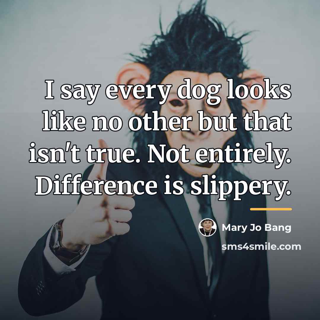 “I say every dog looks like no other but that…” quote by Mary Jo Bang