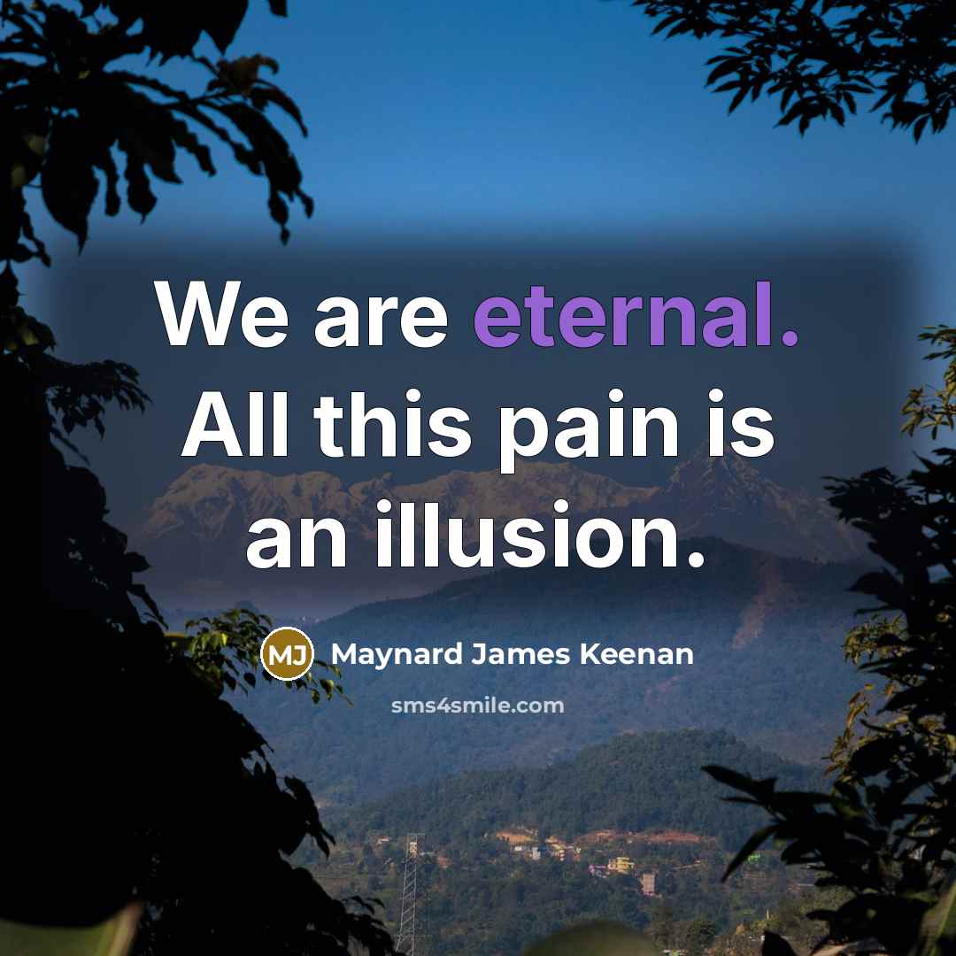 “We are eternal. All this pain is an illusion.…” quote by Maynard James Keenan