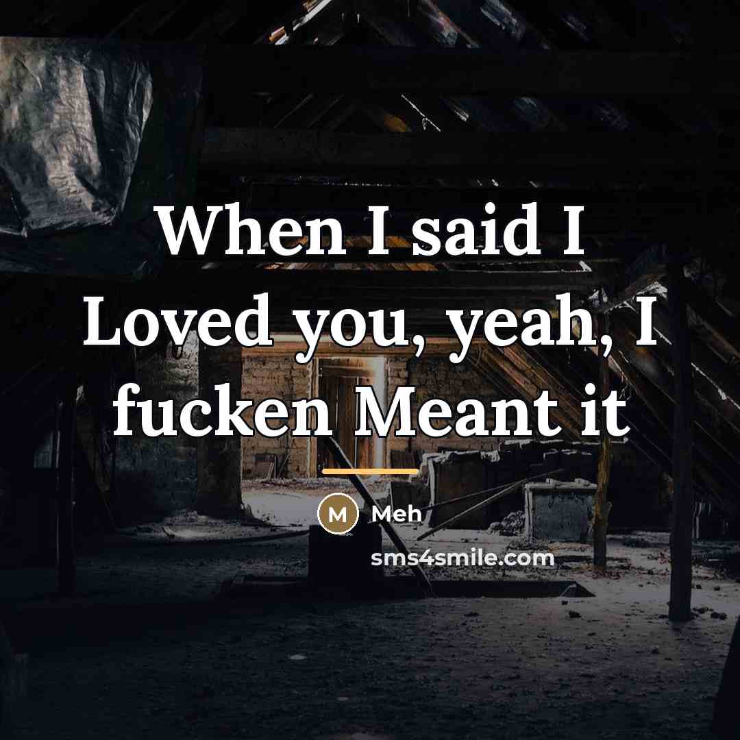 “When I said I Loved you, yeah, I fucken Meant…” quote by Meh
