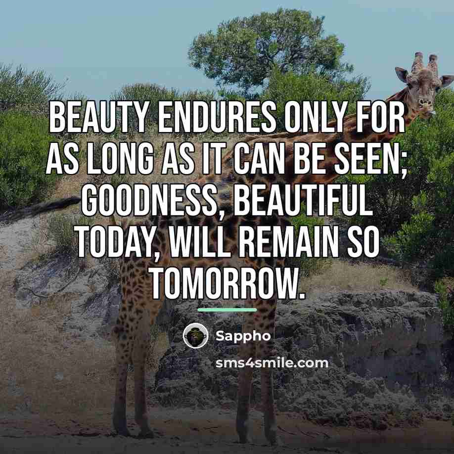 “Beauty endures only for as long as it can be…” quote by Sappho