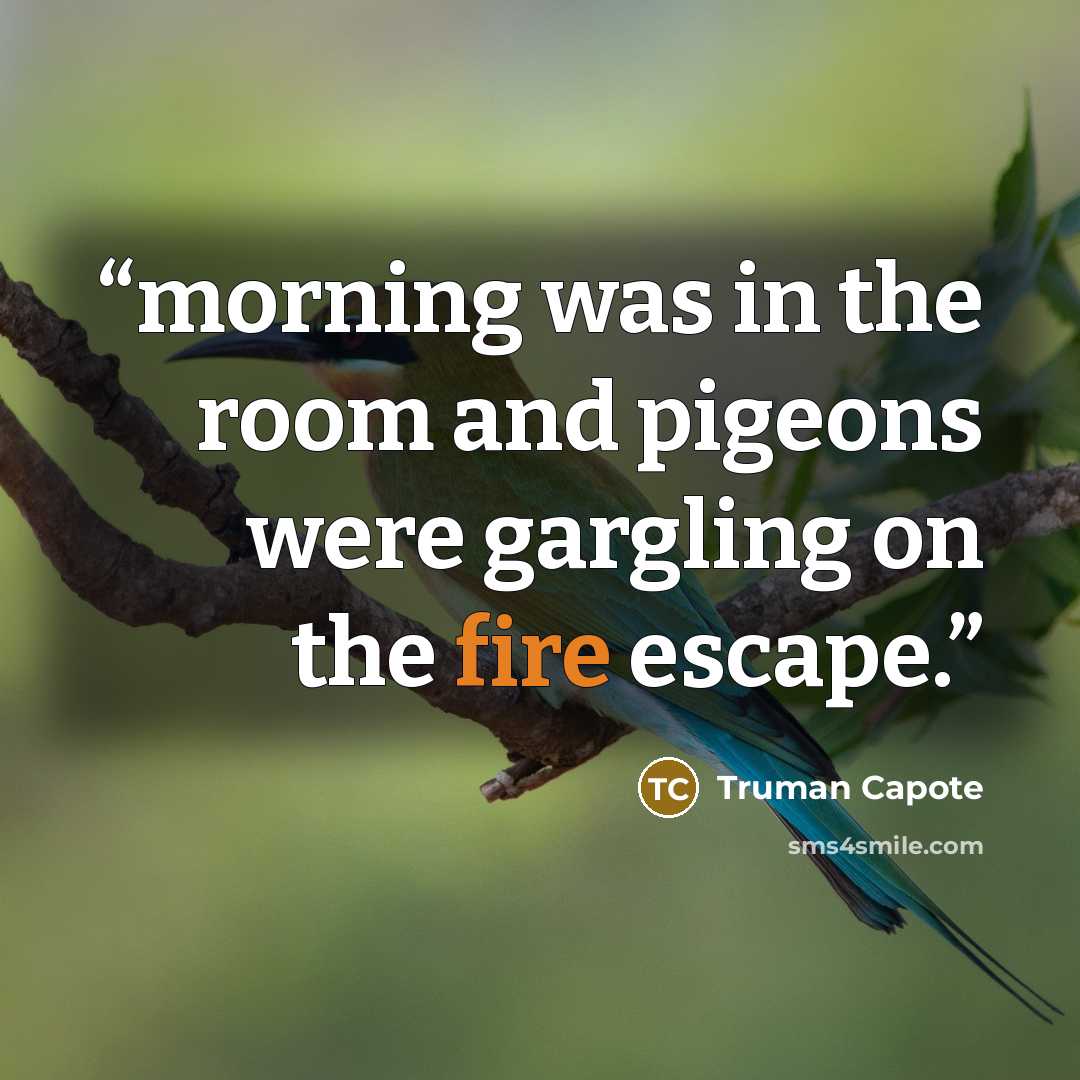 “morning was in the room and pigeons were gargling on the fire escape.” quote by Truman Capote
