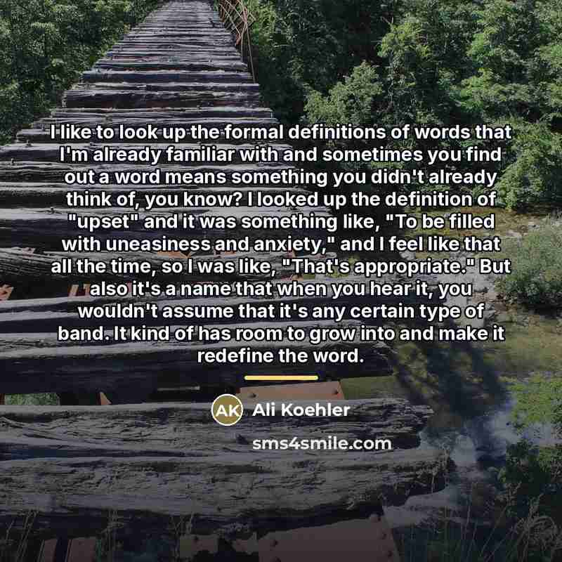 “I like to look up the formal definitions of words…” quote by Ali Koehler