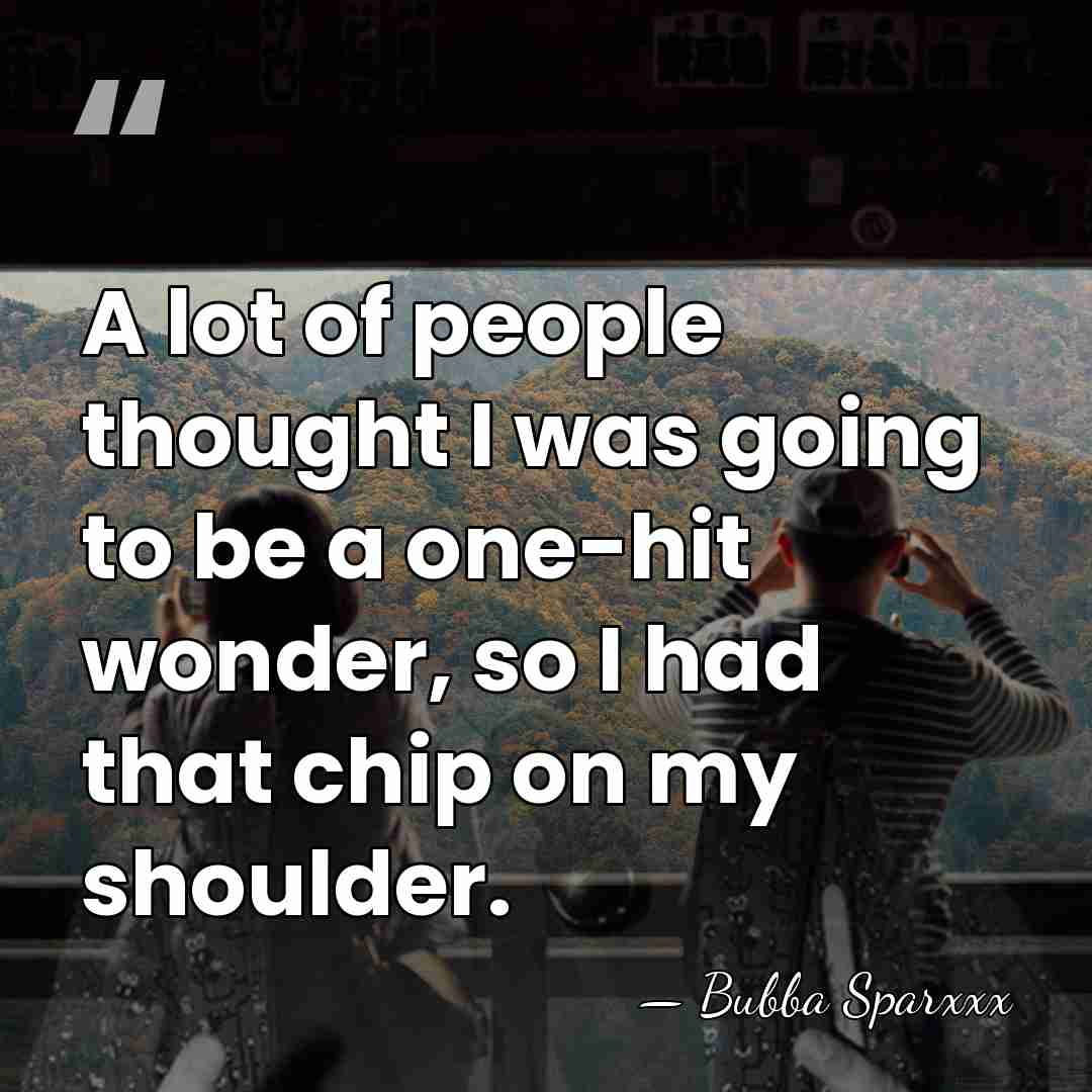 A lot of people thought I was going to be a one-hit&hellip; - Bubba Sparxxx