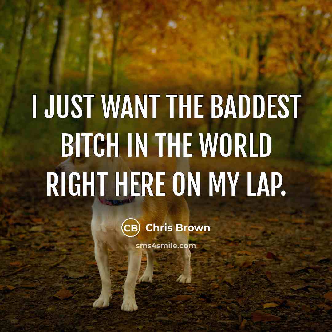 “I just want the baddest bitch in the world Right…” quote by Chris Brown