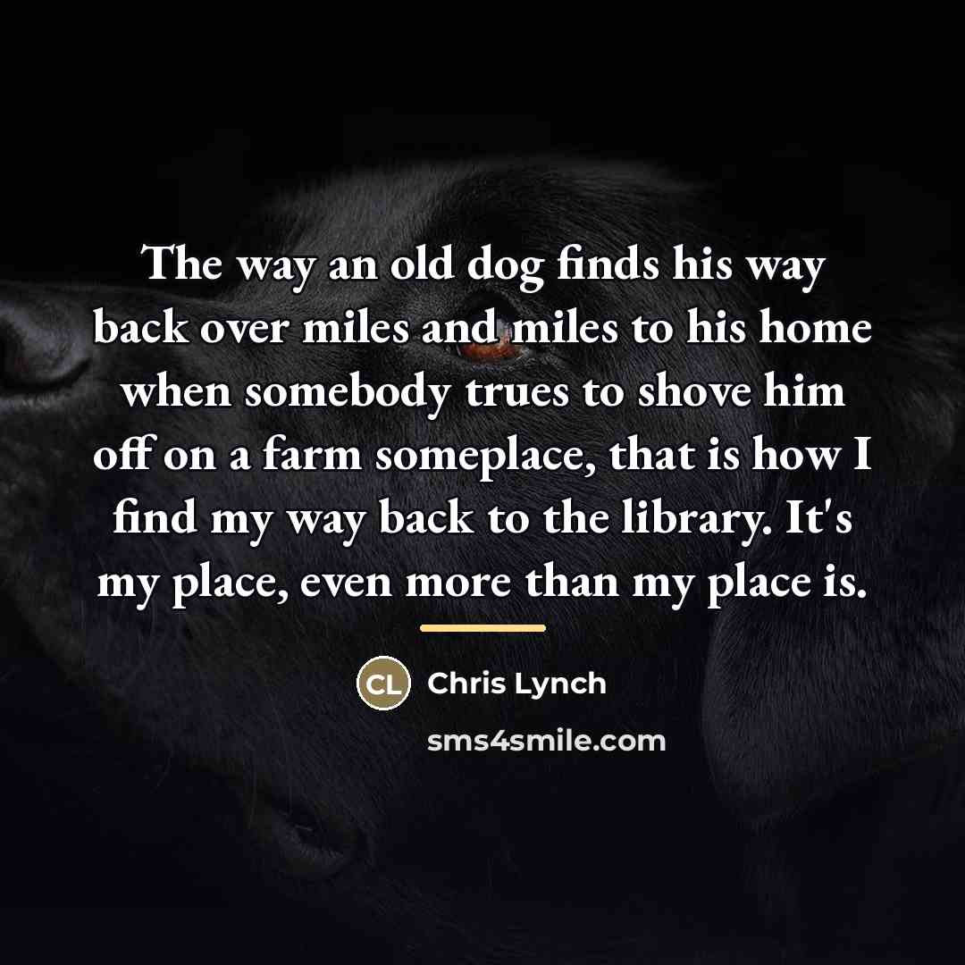 “The way an old dog finds his way back over…” quote by Chris Lynch