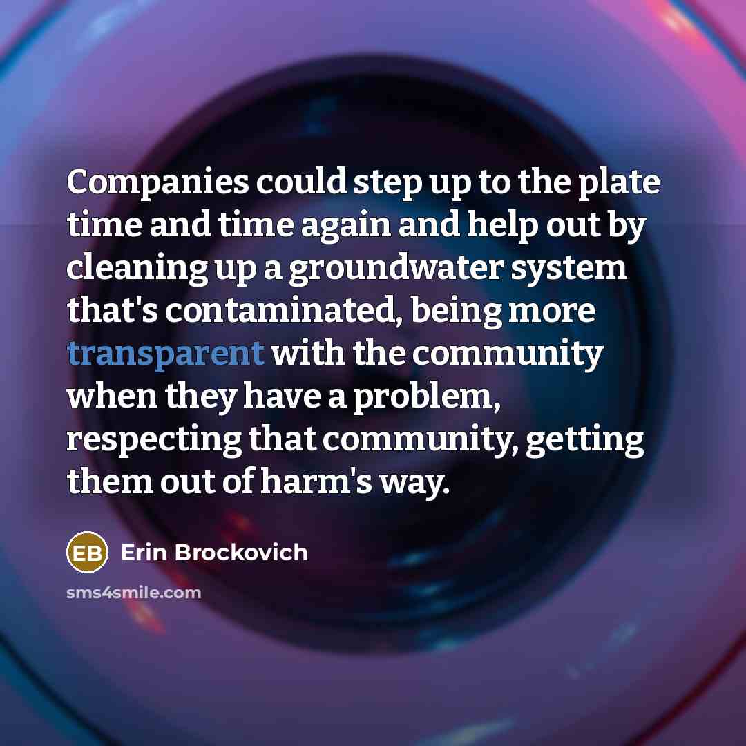 “Companies could step up to the plate time and time…” quote by Erin Brockovich