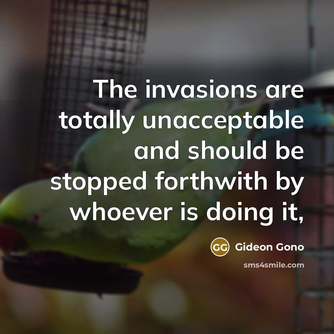 “The invasions are totally unacceptable and should be stopped forthwith…” quote by Gideon Gono