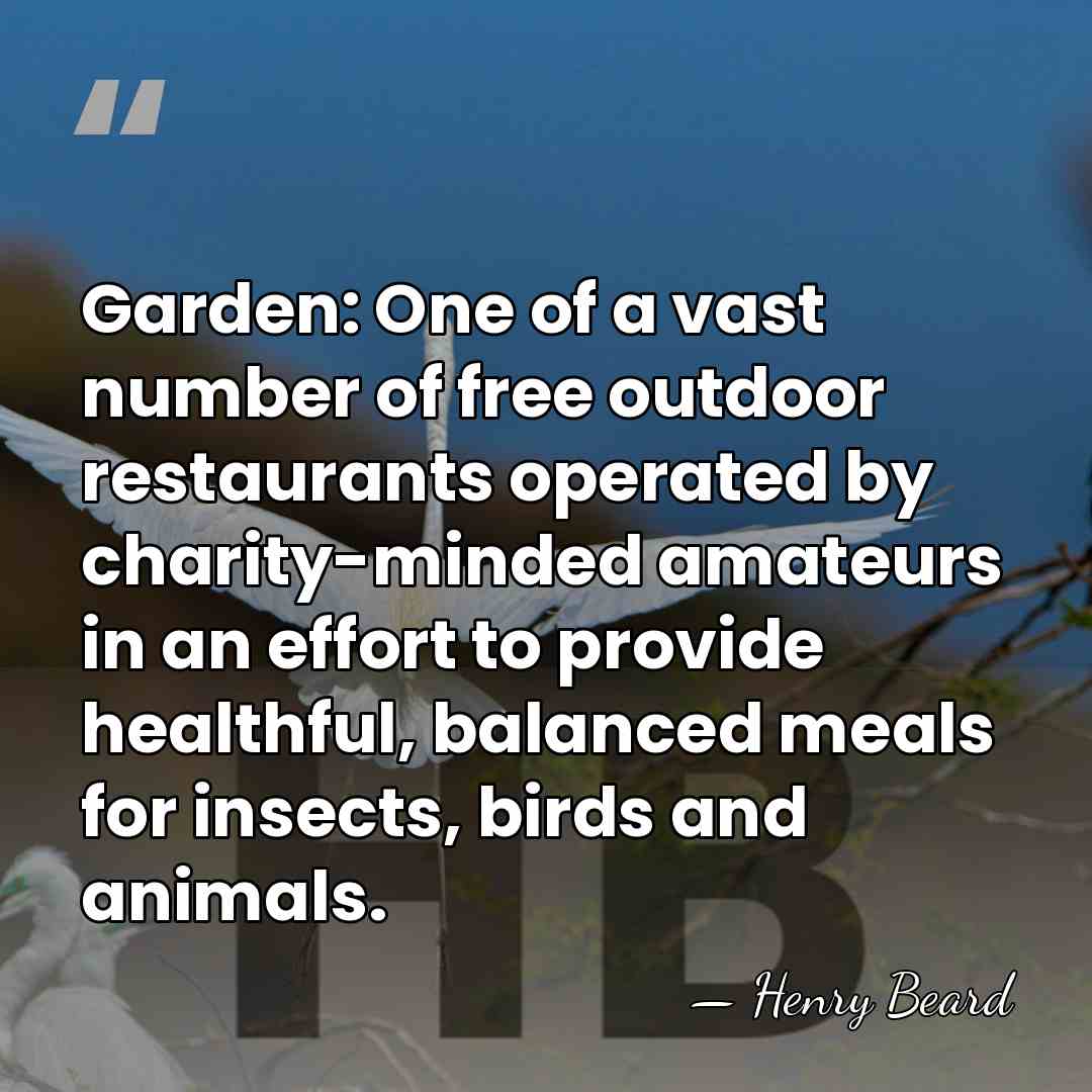 Garden: One of a vast number of free outdoor restaurants operated by&hellip; - Henry Beard