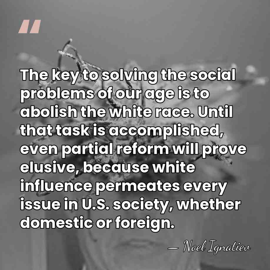 The key to solving the social problems of our age is to&hellip; - Noel Ignatiev