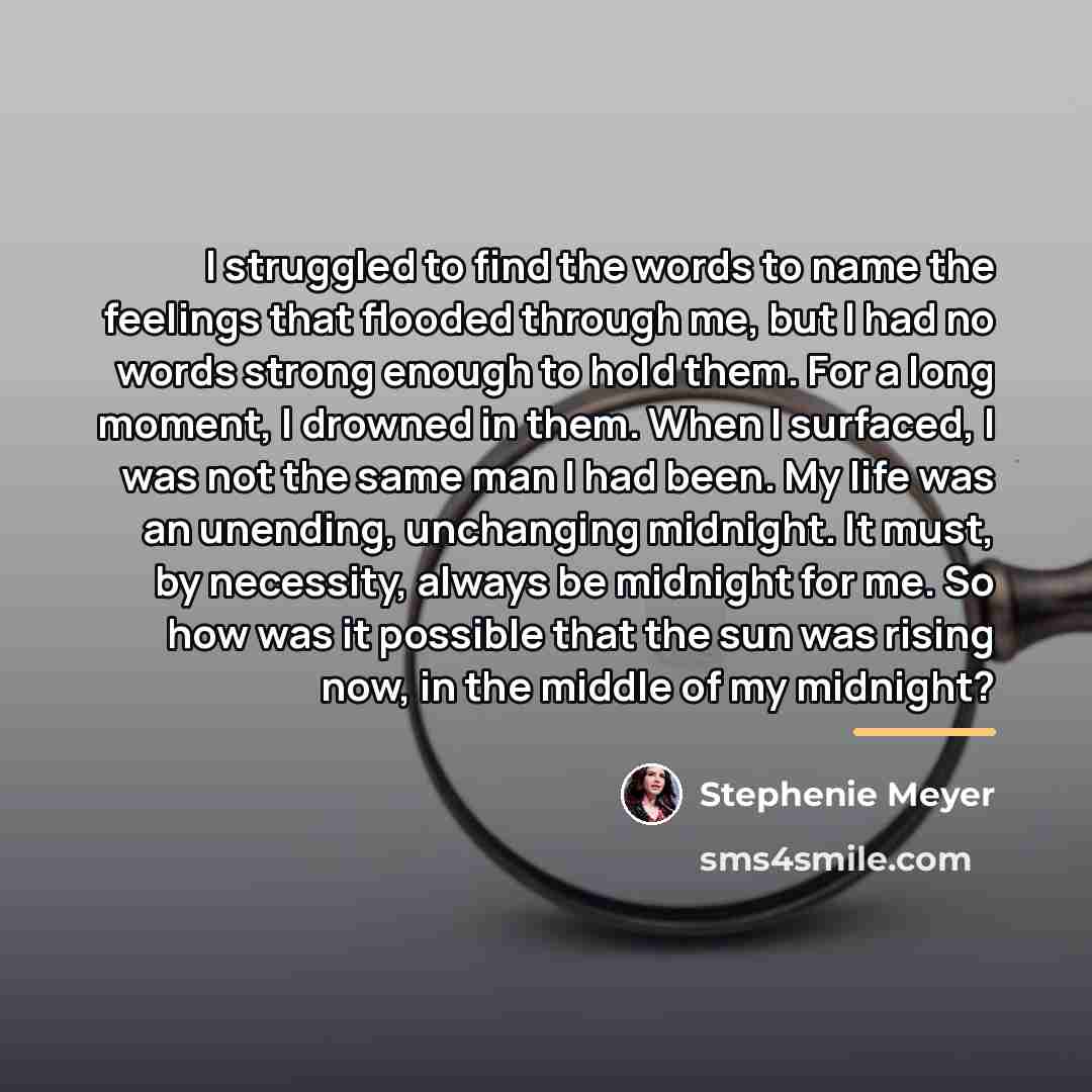 “I struggled to find the words to name the feelings…” quote by Stephenie Meyer