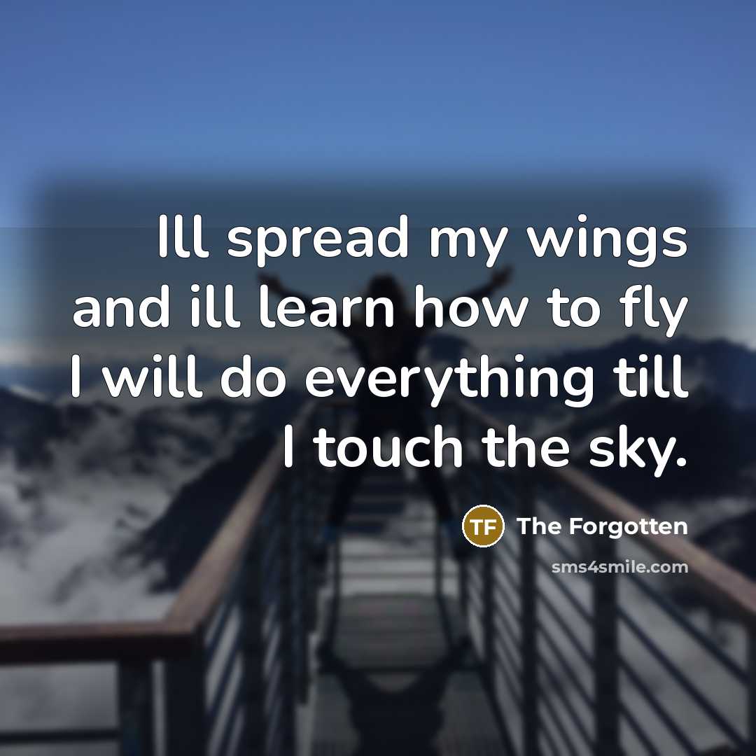 “Ill spread my wings and ill learn how to fly…” quote by The Forgotten