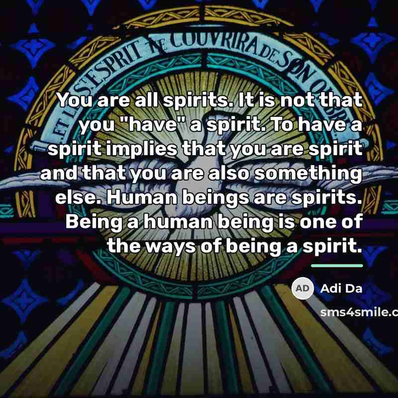 “You are all spirits. It is not that you "have"…” quote by Adi Da