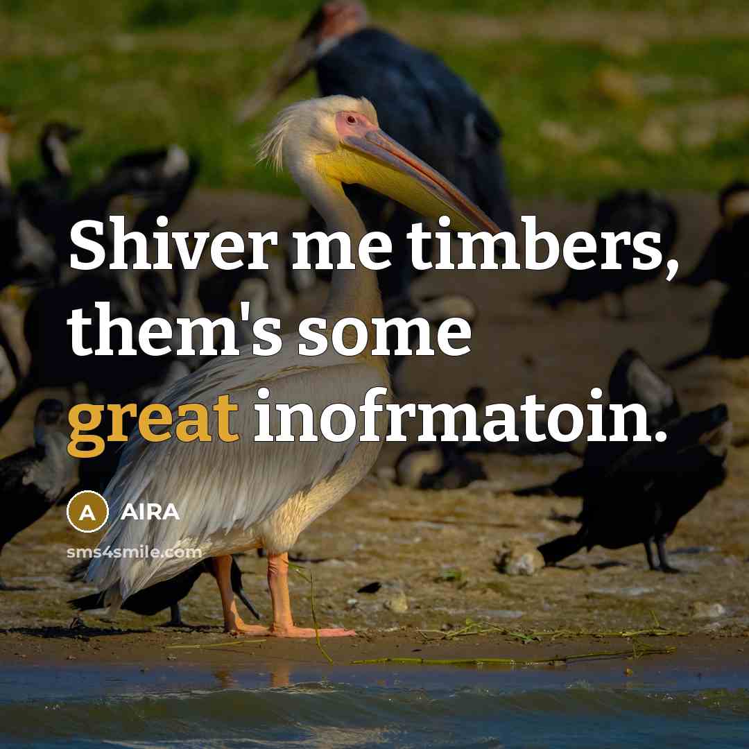 “Shiver me timbers, them's some great inofrmatoin.…” quote by Aira