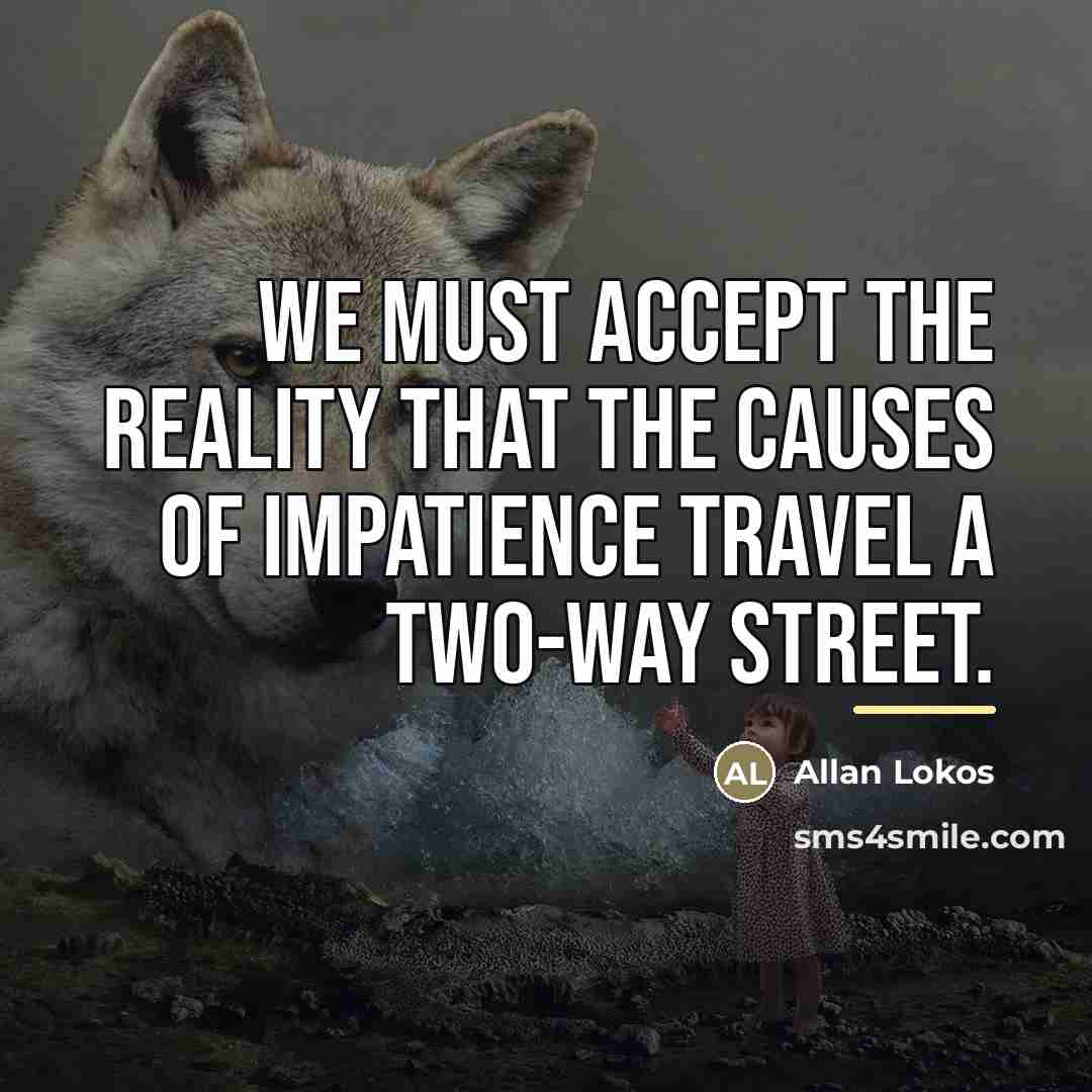 “We must accept the reality that the causes of impatience…” quote by Allan Lokos