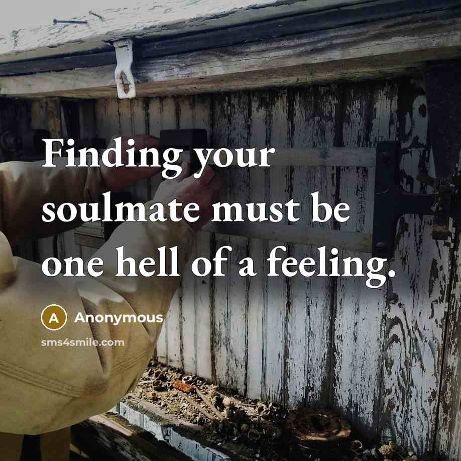 “Finding your soulmate must be one hell of a feeling.” quote by Anonymous