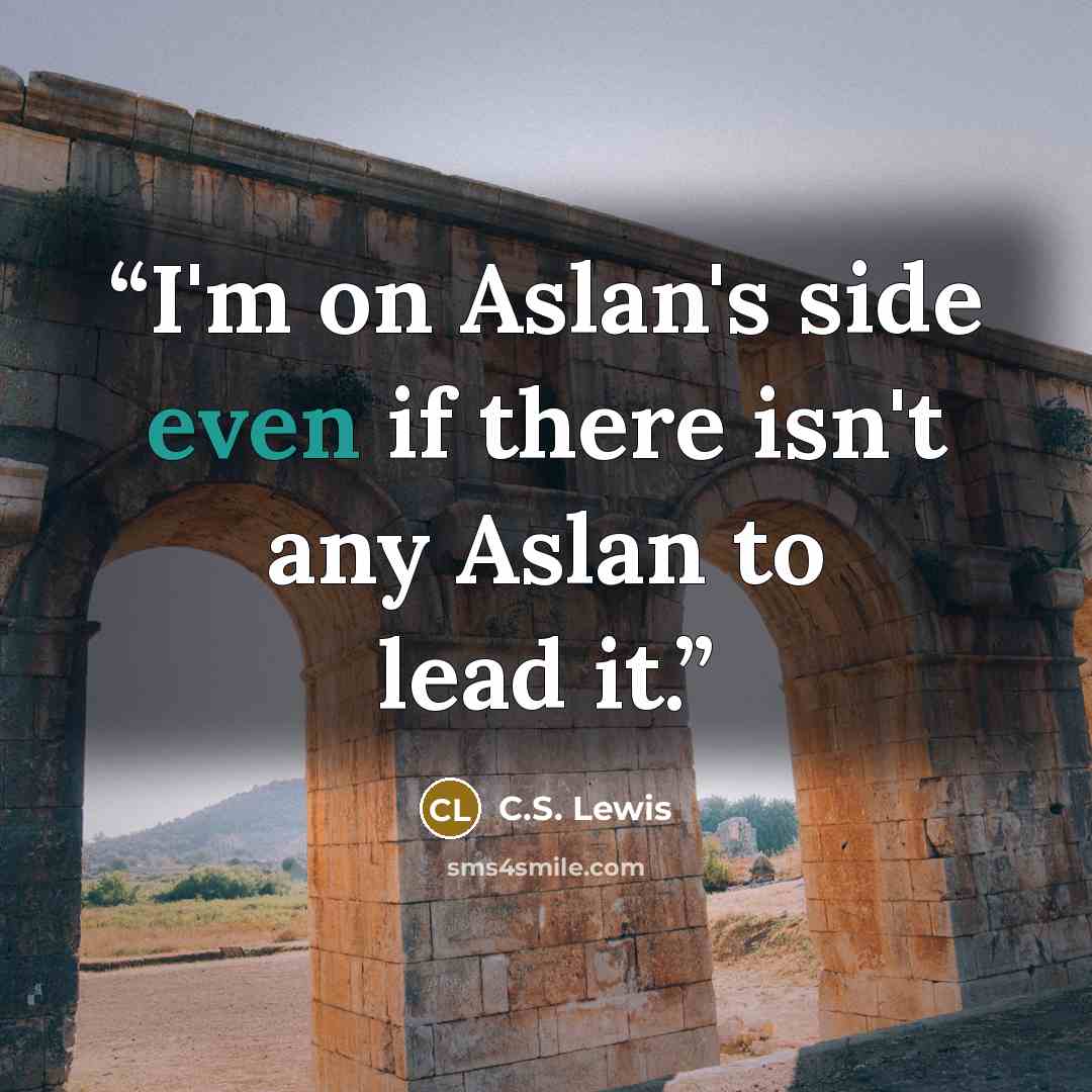 “I'm on Aslan's side even if there isn't any Aslan to lead it.” quote by C.S. Lewis