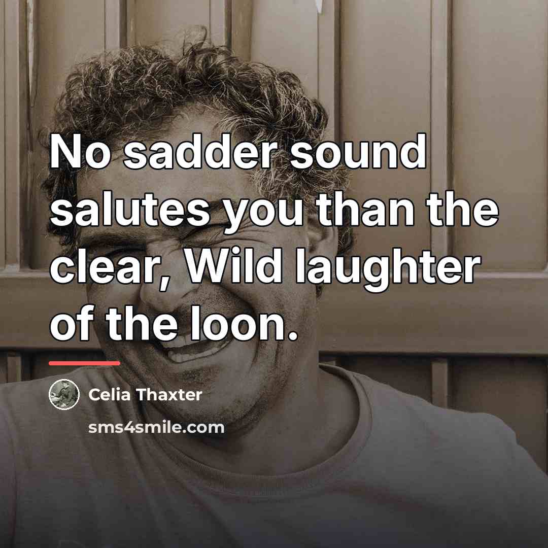 “No sadder sound salutes you than the clear, Wild laughter…” quote by Celia Thaxter
