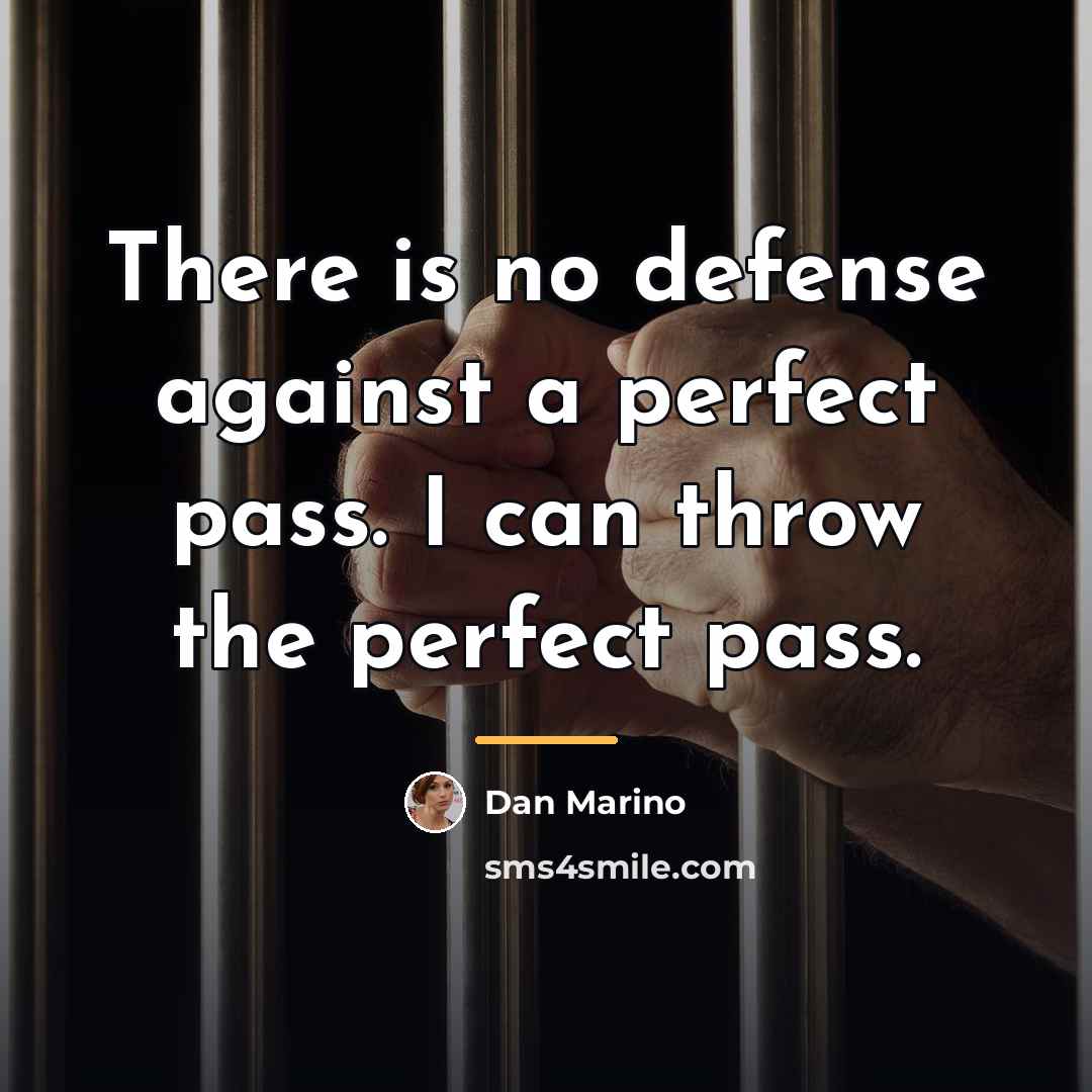 “There is no defense against a perfect pass. I can…” quote by Dan Marino