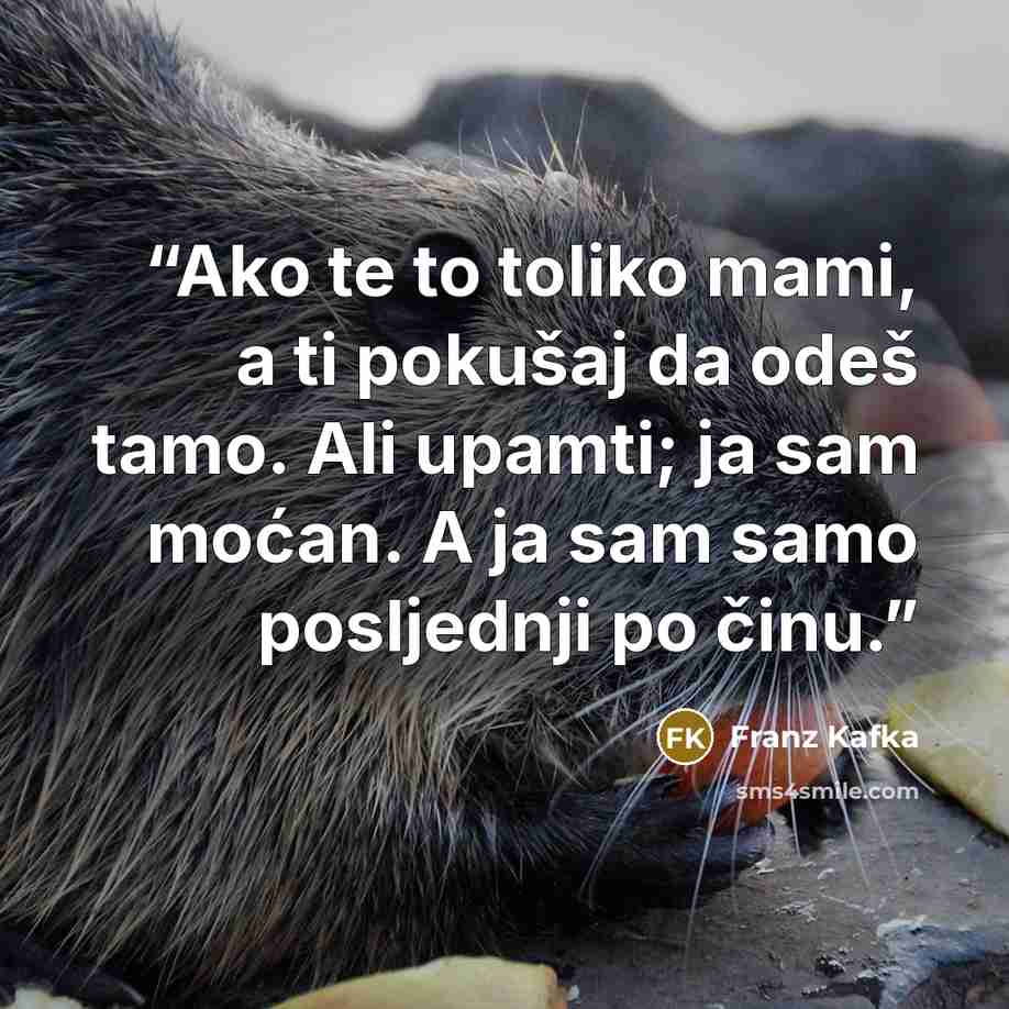 “Ako te to toliko mami, a ti pokušaj da odeš tamo. Ali upamti; ja sam moćan. A ja sam samo posljednji po činu.” quote by Franz Kafka