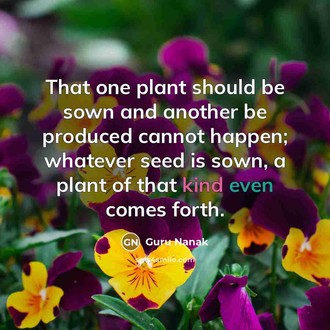 “That one plant should be sown and another be produced cannot happen; whatever seed is sown, a plant of that kind even comes forth.” quote by Guru Nanak