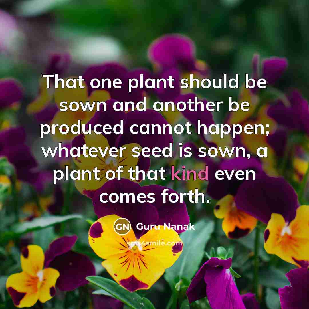 “That one plant should be sown and another be produced…” quote by Guru Nanak