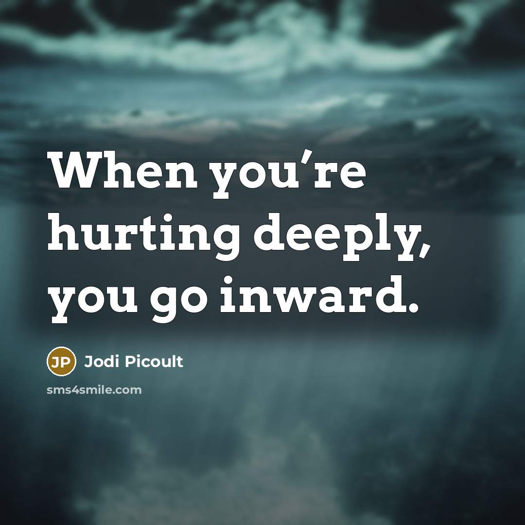 “When you’re hurting deeply, you go inward.…” quote by Jodi Picoult