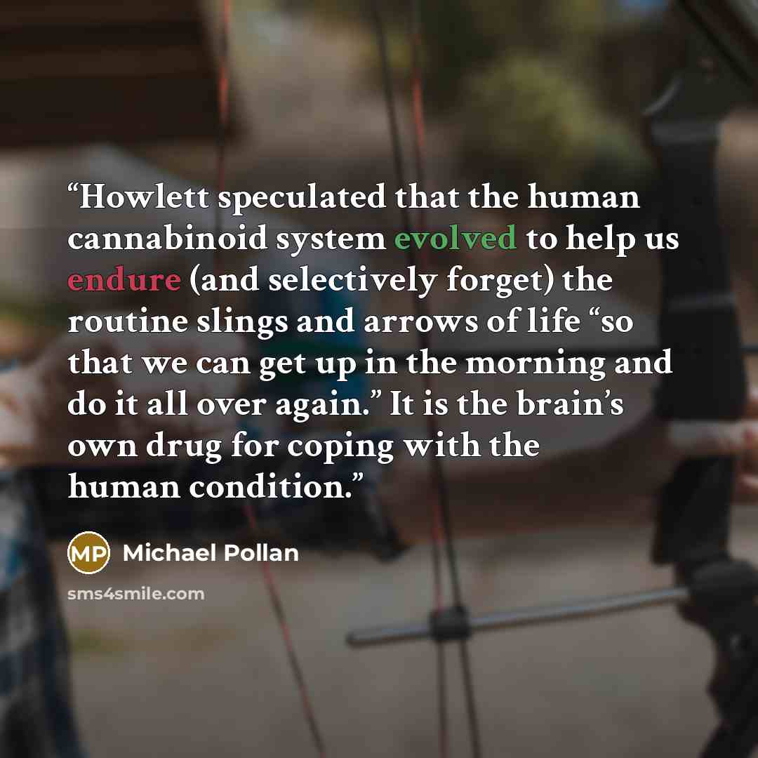 “Howlett speculated that the human cannabinoid system evolved to help us endure (and selectively forget) the routine slings and arrows of life “so that we can get up in the morning and do it all over again.” It is the brain’s own drug for coping with the human condition.” quote by Michael Pollan