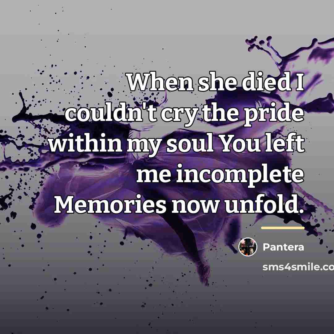 “When she died I couldn't cry the pride within my…” quote by Pantera