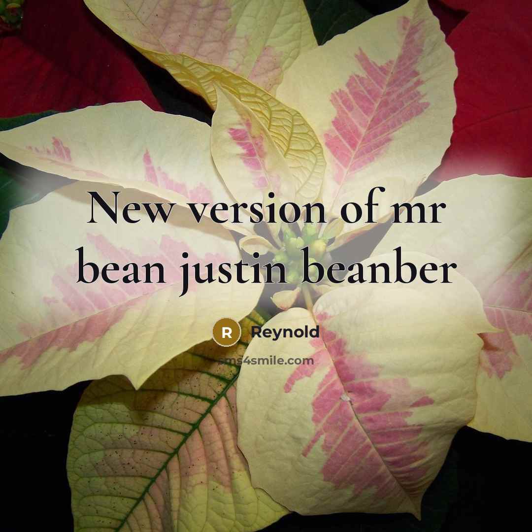 “New version of mr bean justin beanber…” quote by Reynold