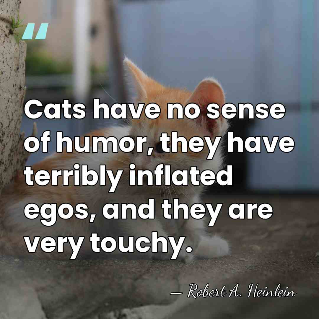 Cats have no sense of humor, they have terribly inflated egos, and&hellip; - Robert A. Heinlein