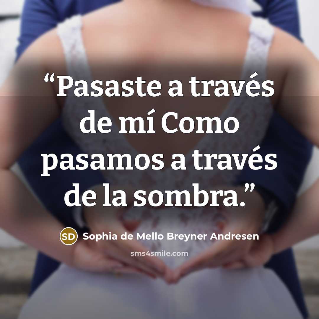 “Pasaste a través de mí Como pasamos a través de la sombra.” quote by Sophia de Mello Breyner Andresen