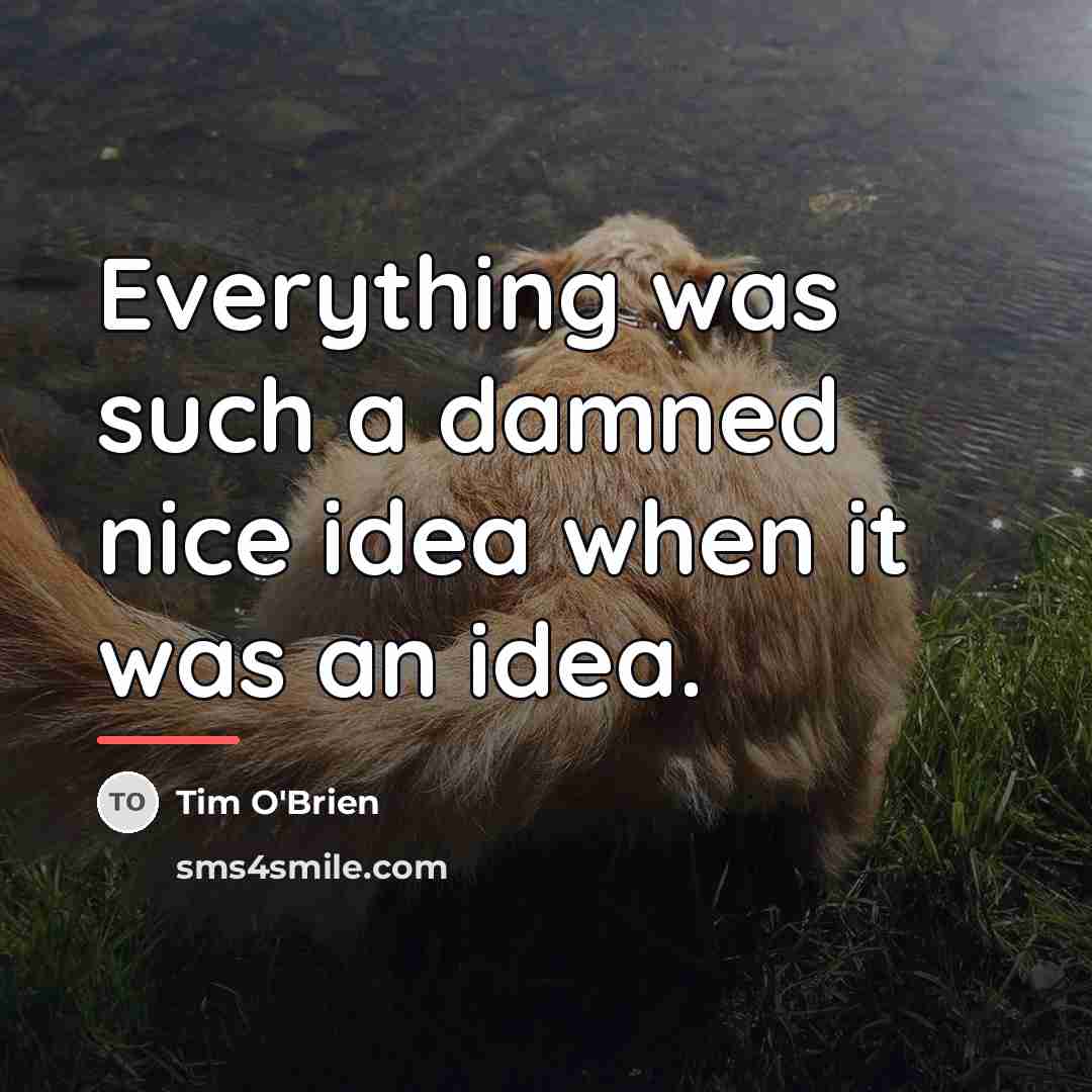 “Everything was such a damned nice idea when it was…” quote by Tim O'Brien