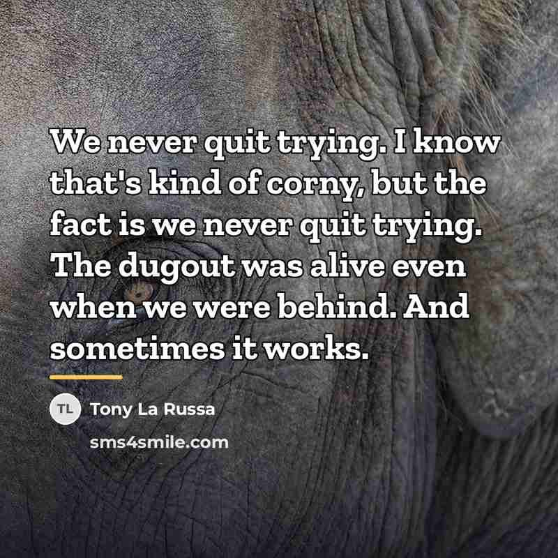 “We never quit trying. I know that's kind of corny,…” quote by Tony La Russa