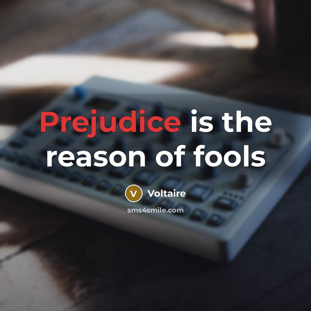 “Prejudice is the reason of fools…” quote by Voltaire