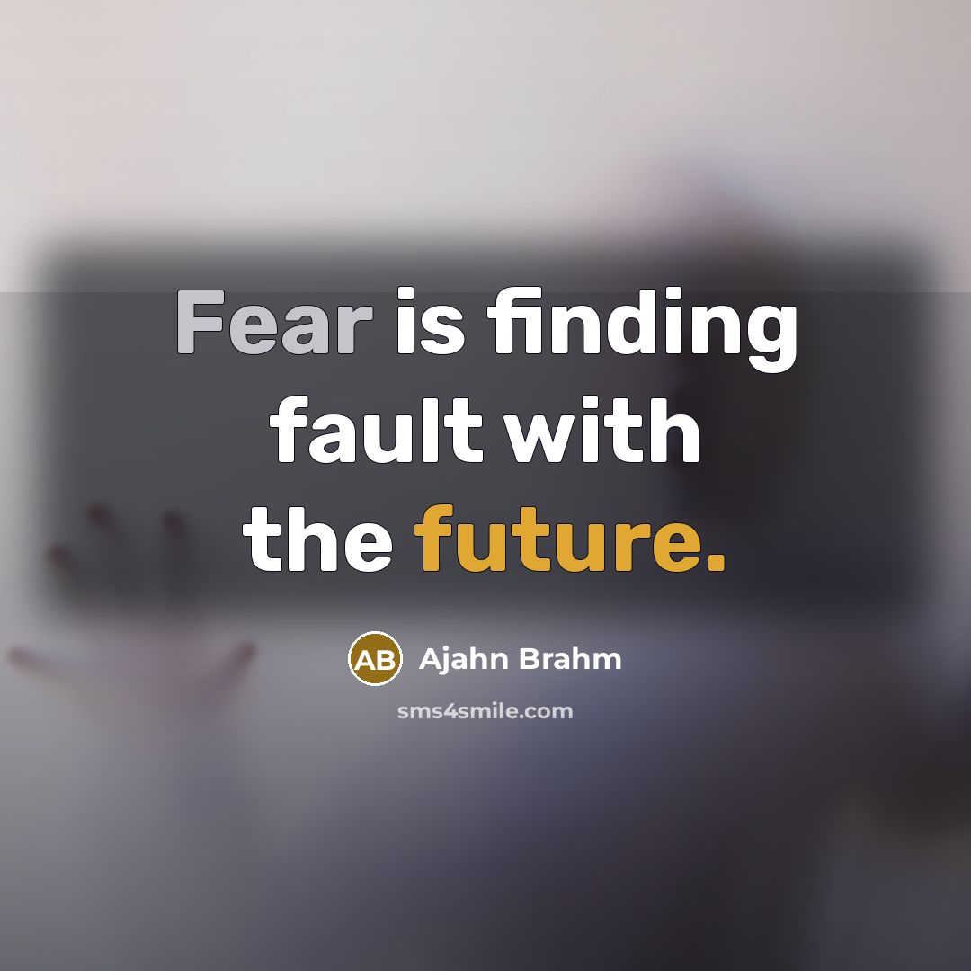 “Fear is finding fault with the future.” quote by Ajahn Brahm