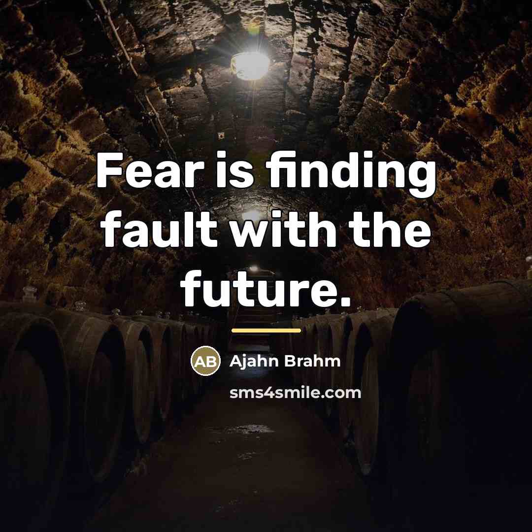 “Fear is finding fault with the future.…” quote by Ajahn Brahm