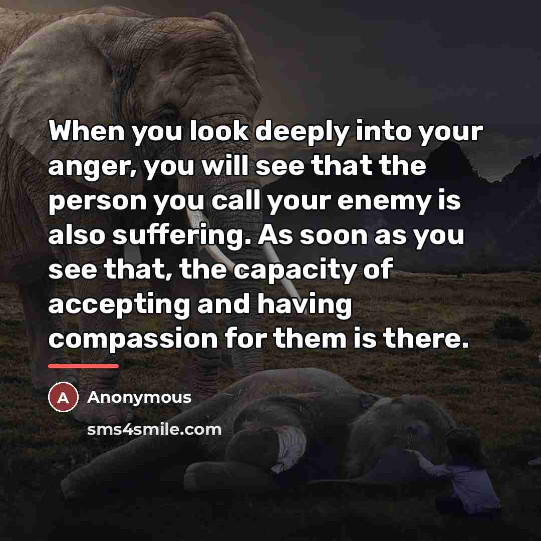 “When you look deeply into your anger, you will see…” quote by Anonymous