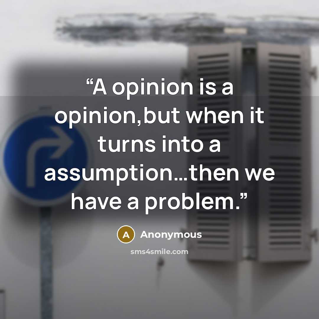 “A opinion is a opinion,but when it turns into a assumption…then we have a problem.” quote by Anonymous