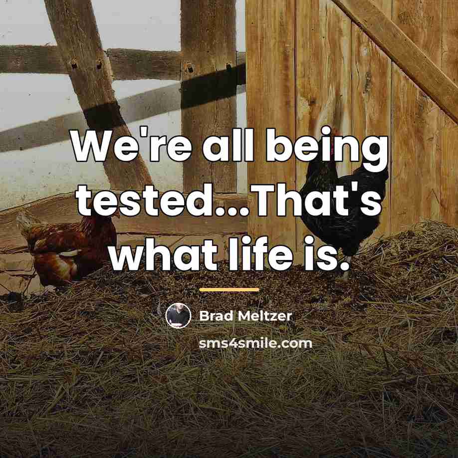 “We're all being tested...That's what life is.…” quote by Brad Meltzer