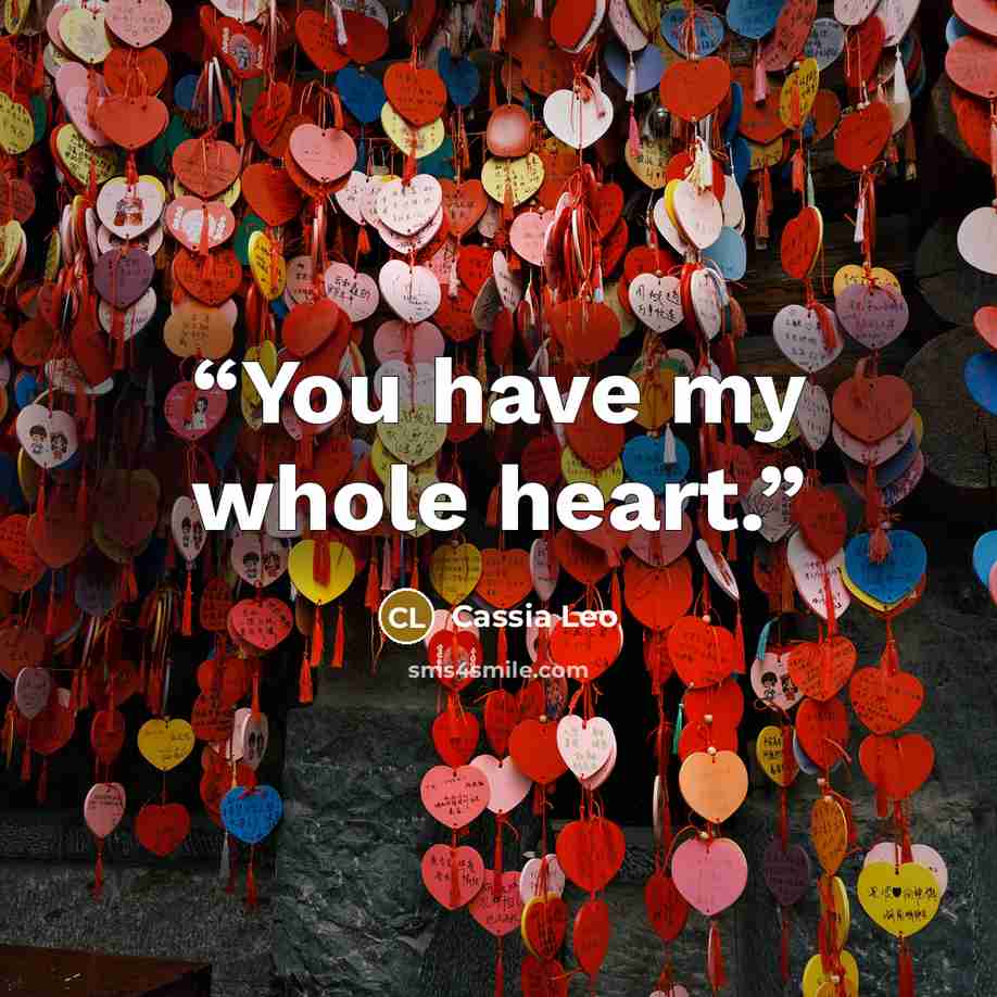“You have my whole heart.” quote by Cassia Leo
