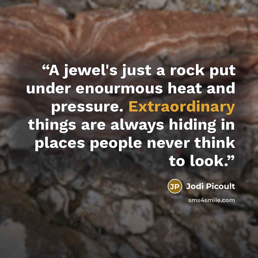 “A jewel's just a rock put under enourmous heat and pressure. Extraordinary things are always hiding in places people never think to look.” quote by Jodi Picoult