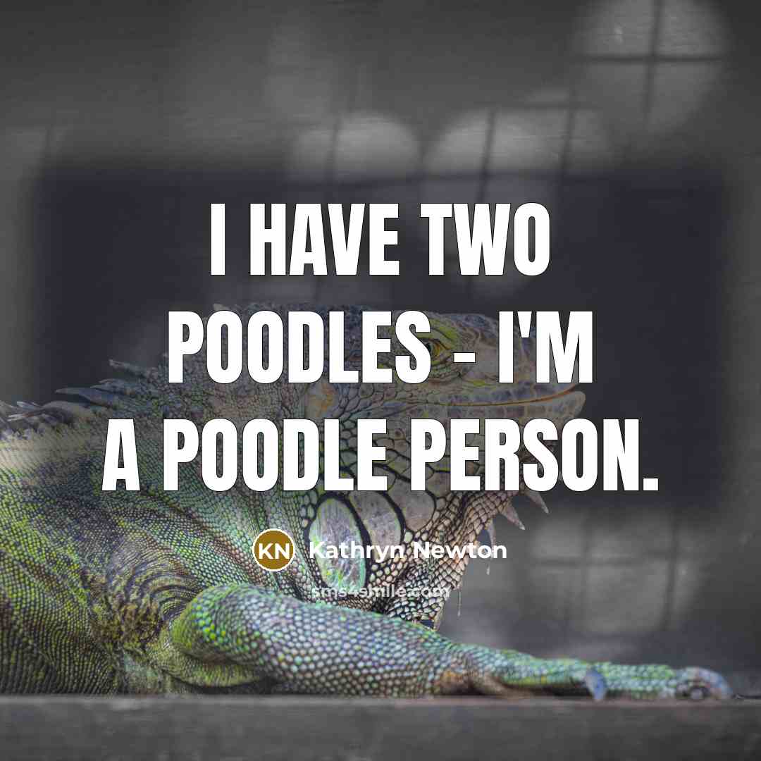 “I have two poodles - I'm a poodle person.” quote by Kathryn Newton