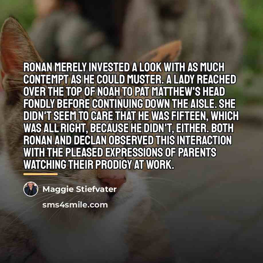 “Ronan merely invested a look with as much contempt as…” quote by Maggie Stiefvater