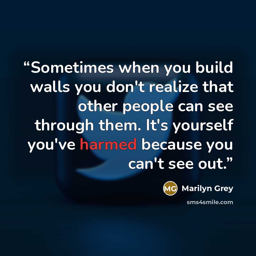“Sometimes when you build walls you don't realize that other people can see through them. It's yourself you've harmed because you can't see out.” quote by Marilyn Grey